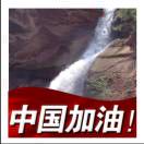 夏先生的头像