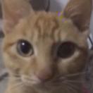 cylk9's Avatar
