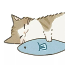 猫于鱼