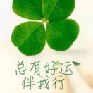 明天的太阳76221