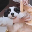 没有答案