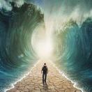 steven的头像-外科技术网