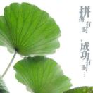 闌珊星空