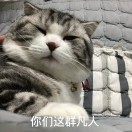 用户发起投诉