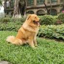 瑞修安好的头像-宋播播带货工作室