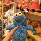 胡哥哥的小可爱