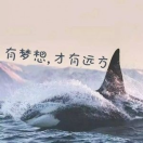 时来运转