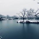 蒋晓迪