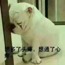 建安汇用户头像