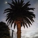 🌟老周🌟的头像-华闻时空