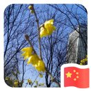 wx_遇见32