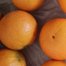 薇薇的头像-创薯资源