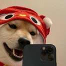 曹先生的头像