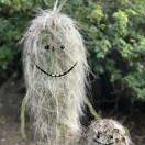 （得转）