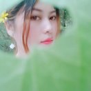 挚爱的头像