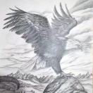 M园园的头像-ITCG资源网