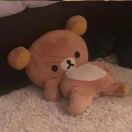 Fleming Hall转租&房东直租