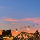 EdrawMax user profile image