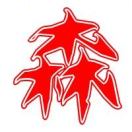 史先生的头像