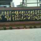wx_朱涛d71