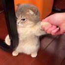 陆先生的头像
