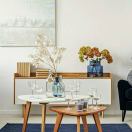 主人主人该吃药了