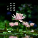 王为先