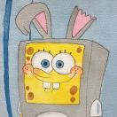 null转租&房东直租