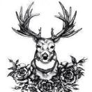 shice0980-白川技术站