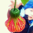 小草的头像-小鑫の小屋