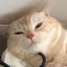 罗江浩
