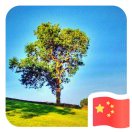 马先生的头像