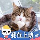 一只老咸鱼