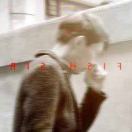 鱼先生 | 终身学习的头像-WordPress主题模板-zibll子比主题