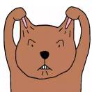 武安博讯电脑苗树明