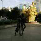 沉默是金的头像-爱山亭网