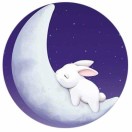 张旭的头像-熵减岛