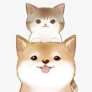 张晨溪