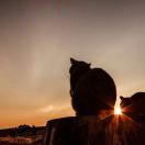 公务员必备成语