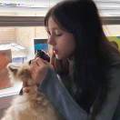 纽卡斯尔求租