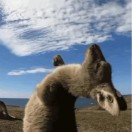 郦先生的头像