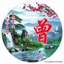 曾偉元