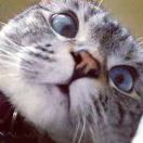 eddie6f546417e7bf4b45's Avatar