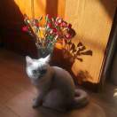 用户68654625的头像-cg男孩