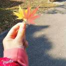 Amy_917