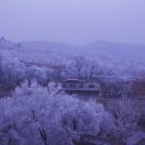 魏偉