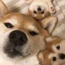 周先生的头像