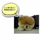 馒头馅儿包子