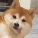 sambitcoin123's Avatar