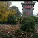 DOCT.LUO的头像-外科技术网